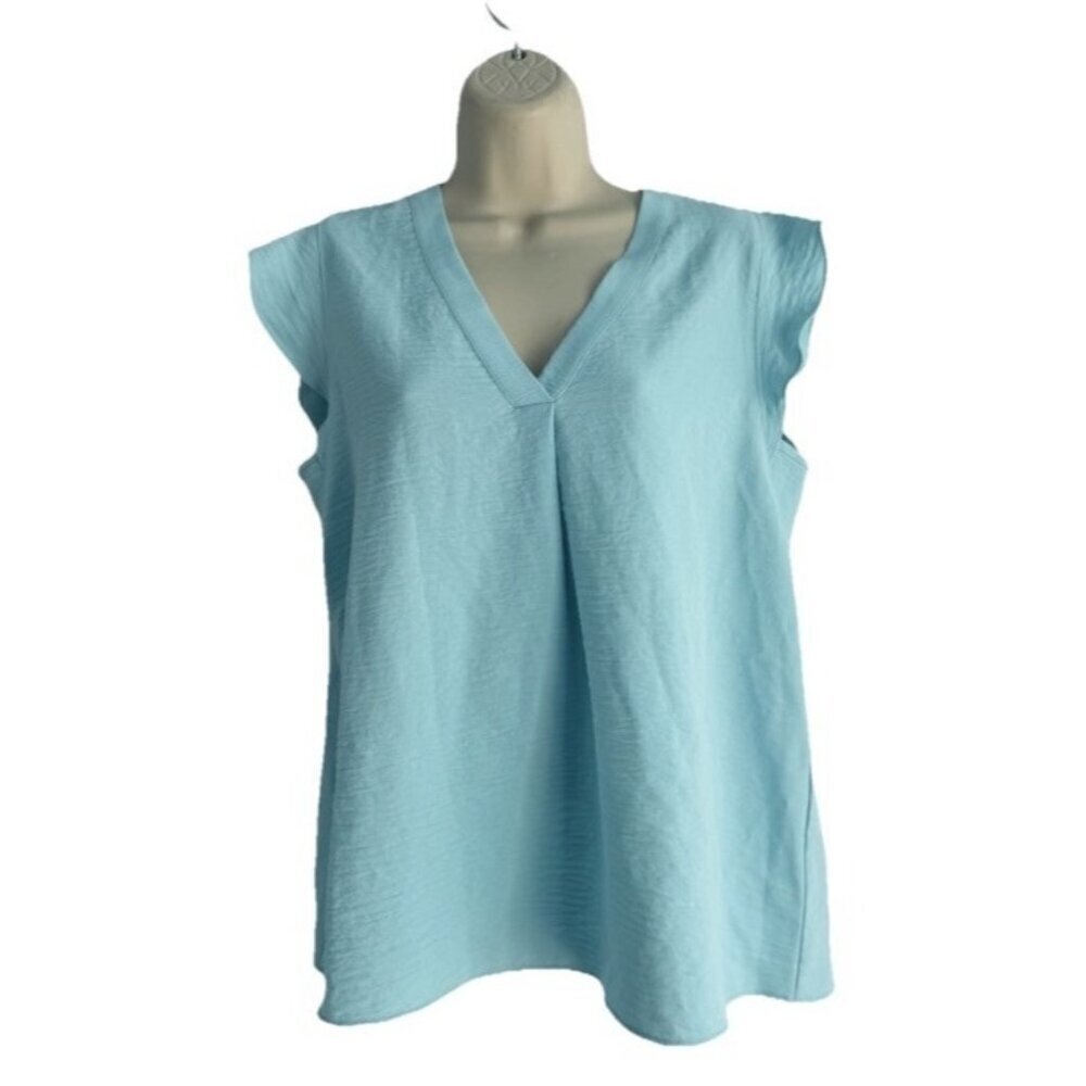 Cupcakes & Cashmere Woman's Sz S Light Blue V-Neck Flutter Sleeve Blouse Top NWT